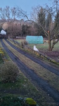 Víkendové pobyty a krátkodobý pronájem - 9