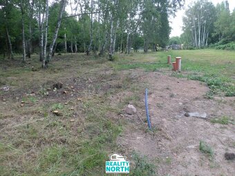 Prodej pozemky pro bydlení, 6 184 m2 - Dubí - Drahůnky - 9