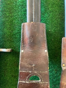 Švajčiarsky Bodak s pilou - 9