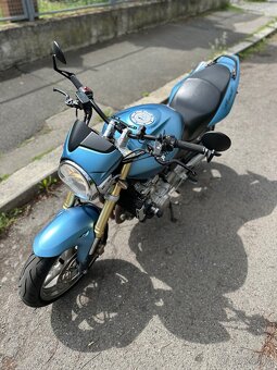 Pronájem motorky Honda Hornet 600 - 9
