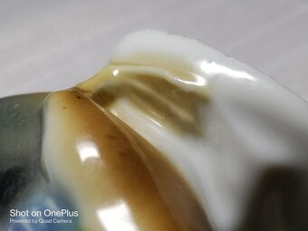 Porcelánová stará kolorovana kachna Goebel - Germany - 9