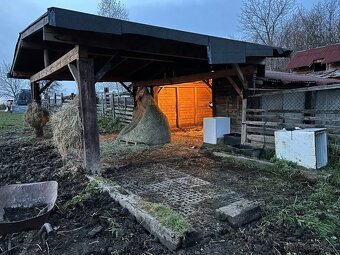 Nabízím netradiční ustájení 24/7 - 9