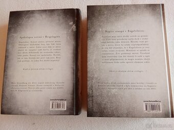 Mix fantasy knih pro dívky - 9