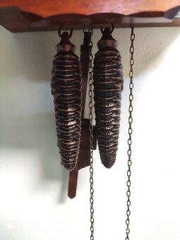 Hezke, kukacky, Schwarzwald - 9