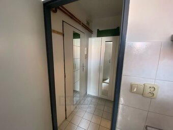 Pronájem bytu 1kk, 22 m2, zahrada, Mánesova ul., České Buděj - 9