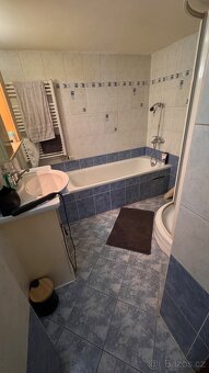 Rodinný dům Sobotovice u Brna - 9