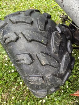 Bashan 200 - 9