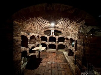 Prodej novostavby Zaječí s apartmány a vinným sklepem - 9