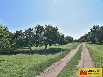 Velké Pavlovice, stavební parcela, 550 m2, investice, klidná - 9