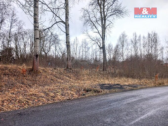 Prodej pozemku k bydlení v Staré Vodě, 2966 m2 - 9
