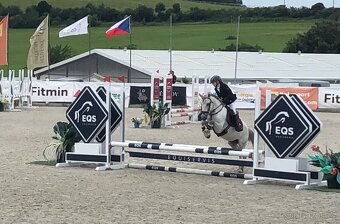 TOP pony na prodej - 9