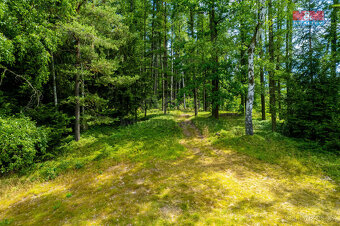 Prodej komerčního pozemku, 8531 m², Dlouhý Most - 9