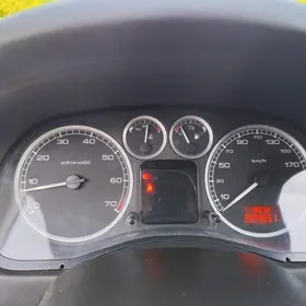 Peugeot 307 1.6i 80 kW - Kombi - 9