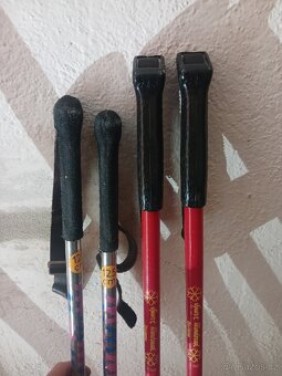 Běžky Artis Polar - 9