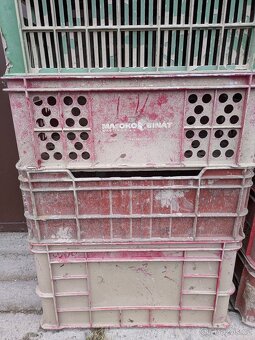 Soubor 19 kusů přepravek - 9