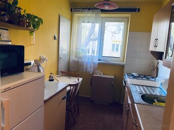 Pronájem malého bytu 2+1 s balkonem - 9