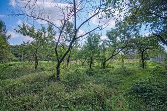 Prodej stavebního pozemku v obci Mikulovice - 9