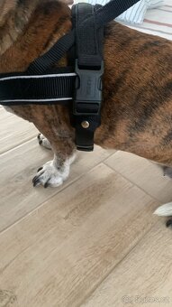 Postroj na psa Hunter - 9