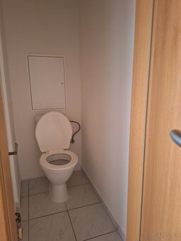 Pronájem 2+1 s balkonem, 59 m², Příbram - 9
