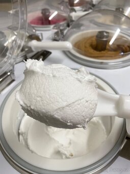 Zmrzlinový stroj GX8 - 9