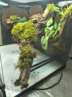Terarium 60x45x45 - 9