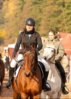 Vestfálská klisna pro děti i do sportu - 9