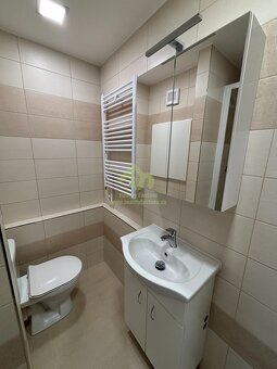 Rokycany- pronájem dr. bytu 1+1 po rekonstrukci s lodžií v m - 9