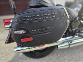 Harley-Davidson Heritage Classic 114 - 9