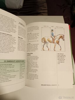 Škola jezdectví - 9