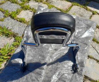 HARLEY DAVIDSON® BREAKOUT FXSB SISSYBAR - 9