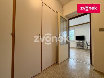 1+kk Malenovice, zděný, prostorný balkón, překrásný výhled - 9