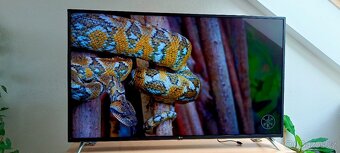 4K Smart LED TV LG 125cm, plně funkční bez poškození - 9