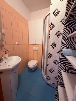 Byt 1kk + terasa - 9