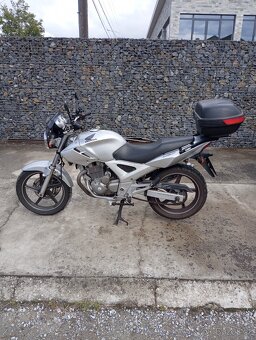 Cbf 250 - 9