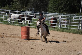 Pony 128 cm - 9