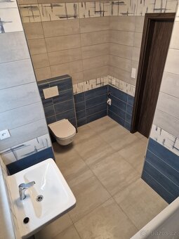 Pronájem bytu 2+kk 52 m², U Borských kasáren - Bory - 9