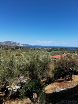 Villa s 4 apartmanama na Zakynthosu - 9