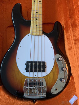Ernie Ball Music Man BFR Nitro StingRay Retro 76 Radio Knob - 9