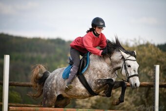 Lusitano PSL EXKLUZIVNÍ Povaha - 9