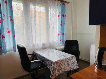 Prodej, byt 2+1, 56m2, ul. Smrková, Plzeň - město - 9