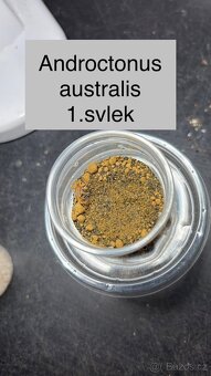 Štíři - aktuální nabídka říjen/listopad - 9