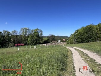 Prodej, pozemky/ostatní, 5105 m2, Razová, Bruntál [ID 60676] - 9