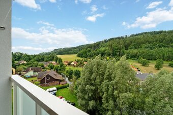 Prodej bytu 1+1,( 46m2) s velkou lodžií, Ústí nad Orlicí , - 9
