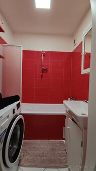 Pronájem bytu 1+1, 40 m², 8000 Kč - Rožnov pod Radhoštěm - 9