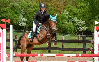 Sportovní pony B - 9