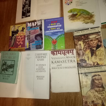 PRODÁM RŮZNÉ STARÉ KNIHY - UMĚNÍ HISTORIE, MÍSTOPIS AJ. - 9