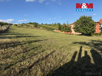 Prodej pozemku k bydlení, 7835 m², Borkovany - 9