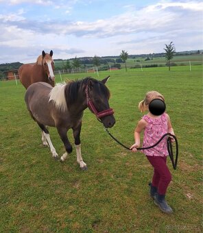 Úžasný Valášek do pony sportu - 9