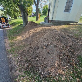 Likvidace, odstranění pařezů, frézování pařezu - 9