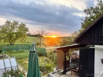 Prodej zahrady s chatkou, CP 284m2, obec Hrušovany u Brna - 9